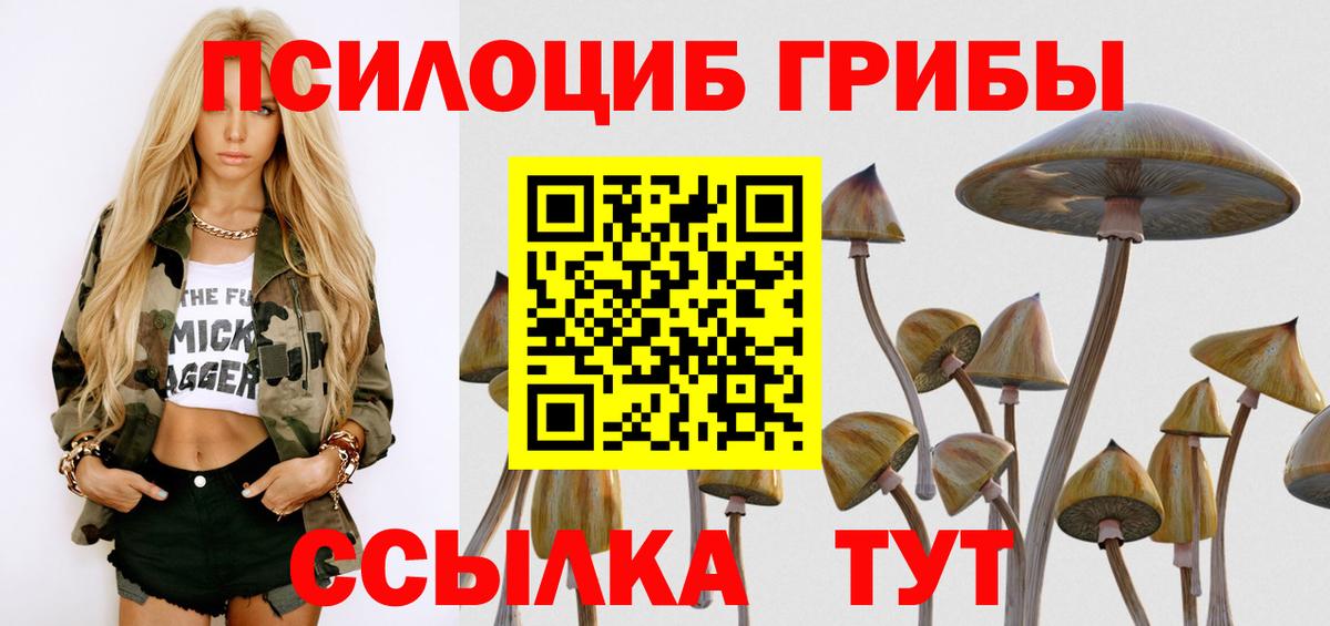 Галлюциногенные грибы Psilocybine cubensis  Вход с VPN  Ейск 