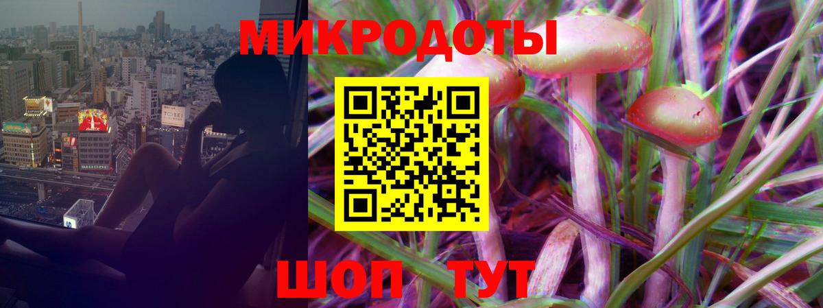 Галлюциногенные грибы Psilocybe Ейск